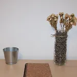 La Casa De Abedules León