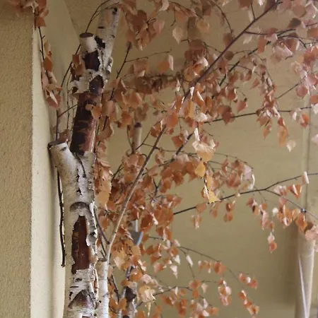 La Casa De Abedules Apartment