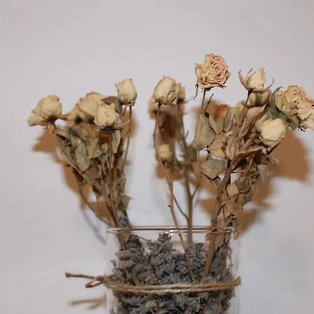 Lejlighed La Casa De Abedules León