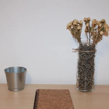 La Casa De Abedules Leão