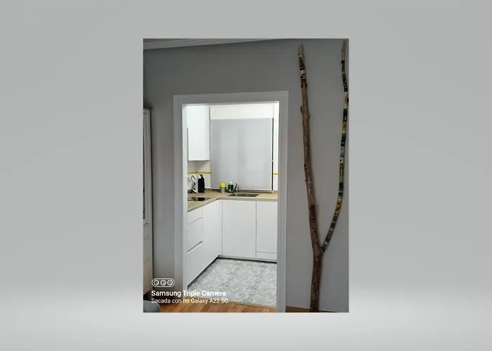 La Casa De Abedules *