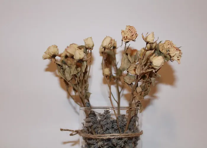 Lejlighed La Casa De Abedules León