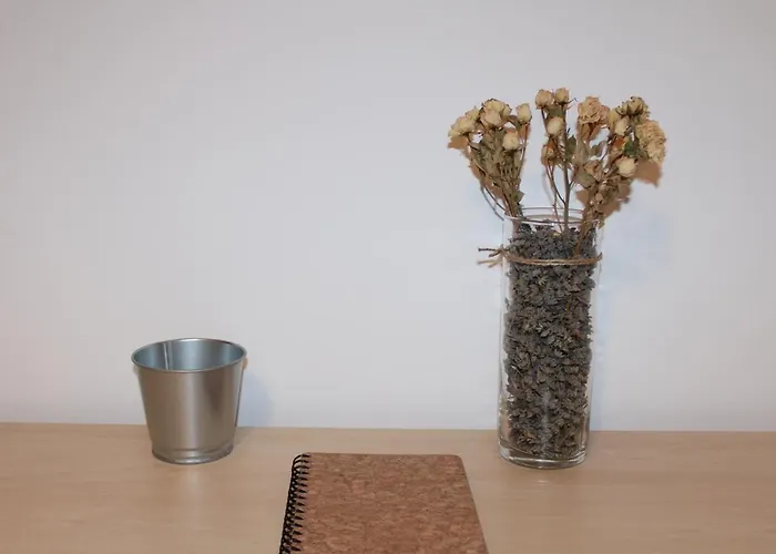 La Casa De Abedules León